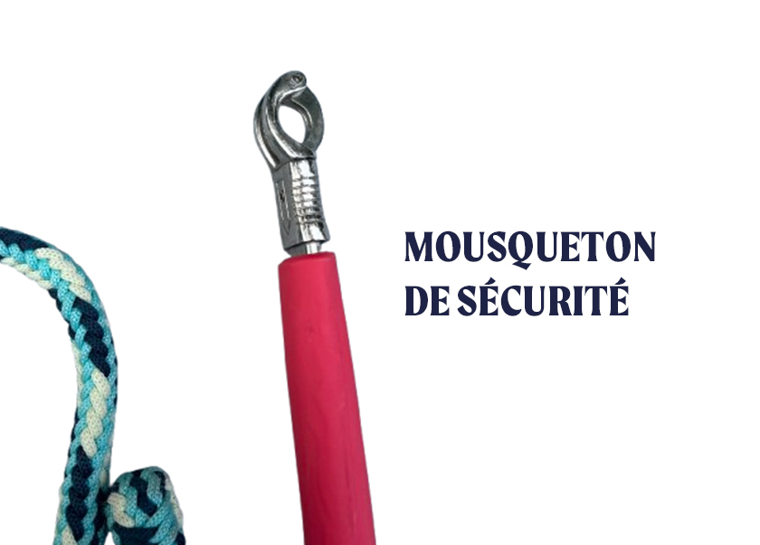 Longe éducative – Image 3