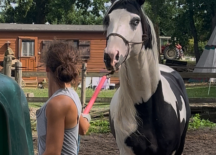 Longe éducative – Image 4