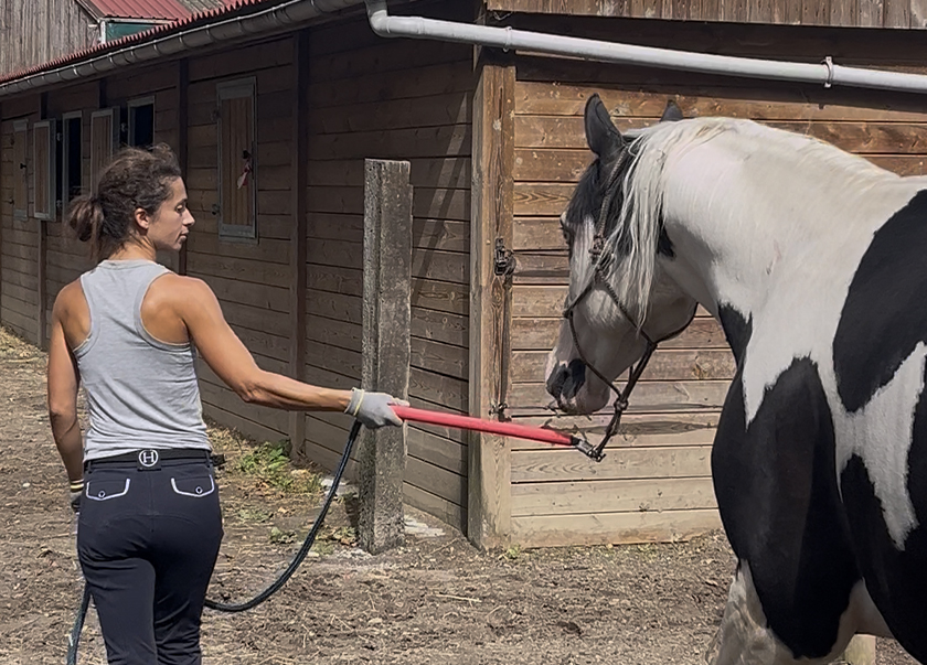 Longe éducative – Image 5